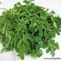Remède 002 : Moringa Complément Alimentaire