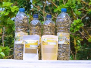 Hypotension solution astuce bio