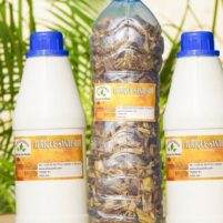 Remède 047 : Traitement naturel zona varicelle, herpès AntivirexZVH 