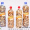 Cancers Traitement par les plantes