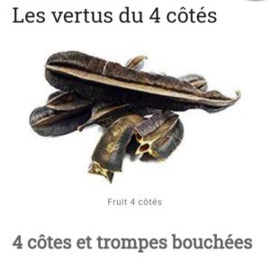 Lire la suite à propos de l’article Utiliser Le 4 cotés Pour finir avec l&rsquo;infertilité : Remède Fibrome, Trompe Bouchées