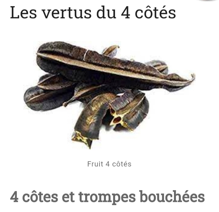 You are currently viewing Utiliser Le 4 cotés Pour finir avec l&rsquo;infertilité : Remède Fibrome, Trompe Bouchées