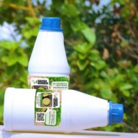 Remède 084 : Lotion Psoriasis Traitement Naturel Par les Plantes