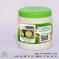 Remède 033 : Tisane pour Soigner l&rsquo;Asthme