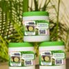 Comment Soigner Les Hémorroïdes Traitement Naturel