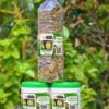 Recette Africaine Pour Tomber Enceinte avec Les Plantes