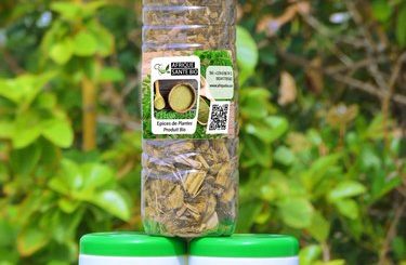 Recette Africaine Pour Tomber Enceinte avec Les Plantes