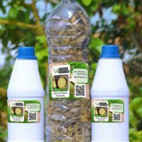 Remède 046 : Traitement Naturel Hépatites B et C Remède Par Les Plantes