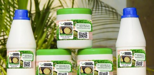 Hydrosalpinx Traitement Naturel Salpingite Remède naturel par les plante voicie ce qu'il vous faut pour en finir avec ce mal