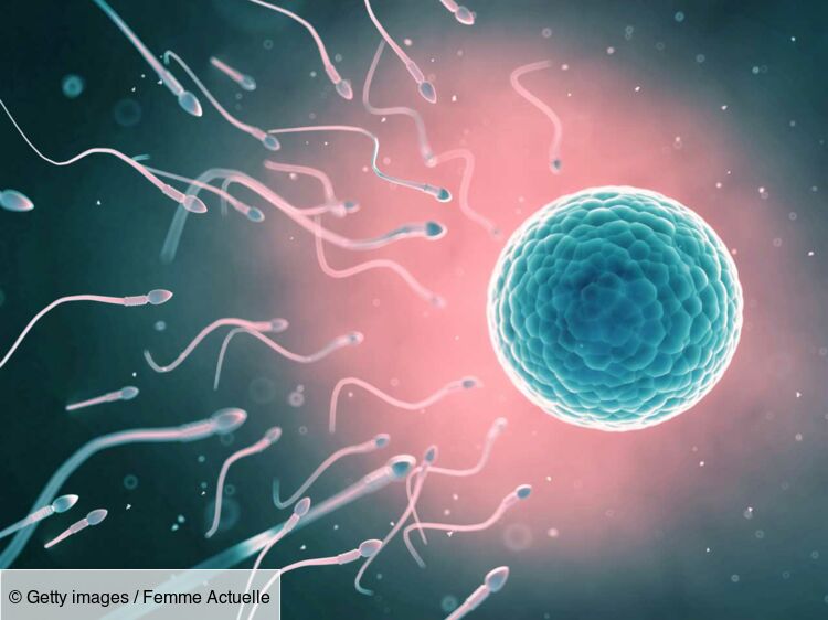 Lire la suite à propos de l’article Causes de l&rsquo;Azoospermie, Traitement naturel contre l&rsquo;Azoospermie