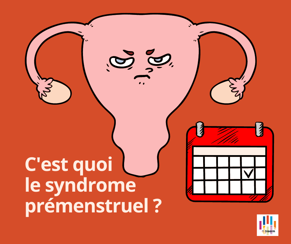 Lire la suite à propos de l’article C&rsquo;est quoi le Syndrome Prémenstruel Remède Naturel Symptômes Menstruels