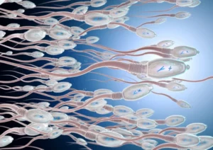 Traitement naturel contre l'oligospermie