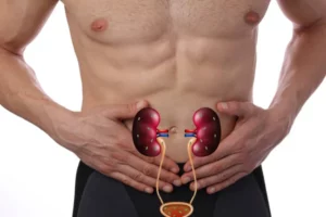 Traitement naturel contre l'infection urinaire