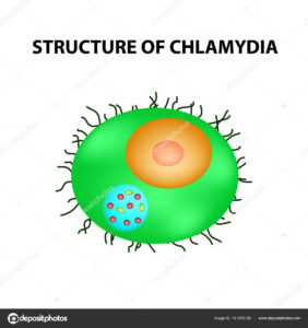 Remède naturel la chlamydia 